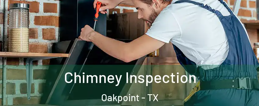 Chimney Inspection Oakpoint - TX