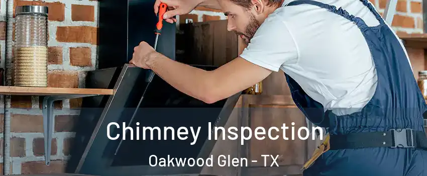 Chimney Inspection Oakwood Glen - TX