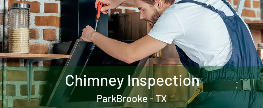 Chimney Inspection ParkBrooke - TX