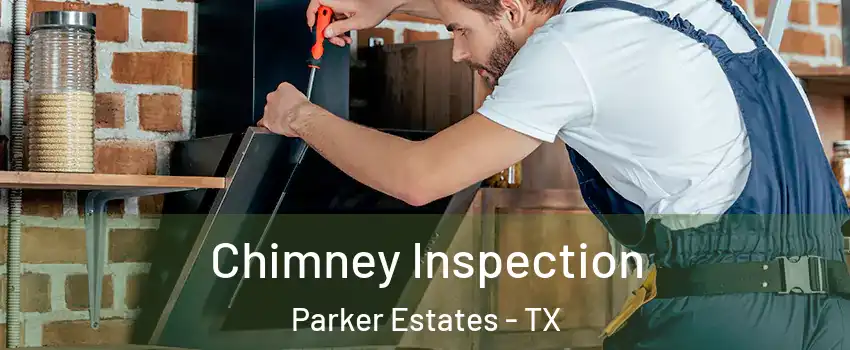 Chimney Inspection Parker Estates - TX