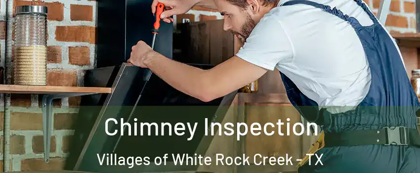 Chimney Inspection Villages of White Rock Creek - TX