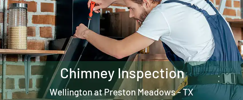 Chimney Inspection Wellington at Preston Meadows - TX