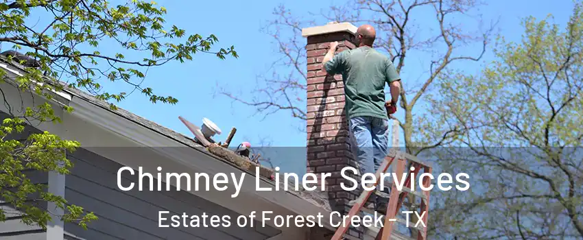 Chimney Liner Services Estates of Forest Creek - TX