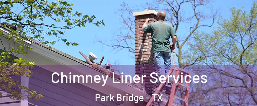 Chimney Liner Services Park Bridge - TX