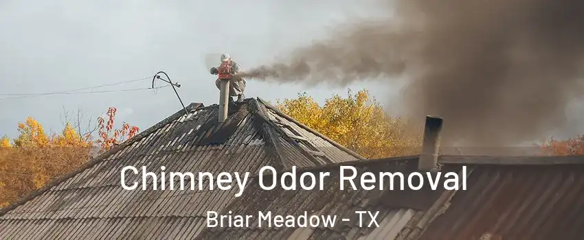 Chimney Odor Removal Briar Meadow - TX