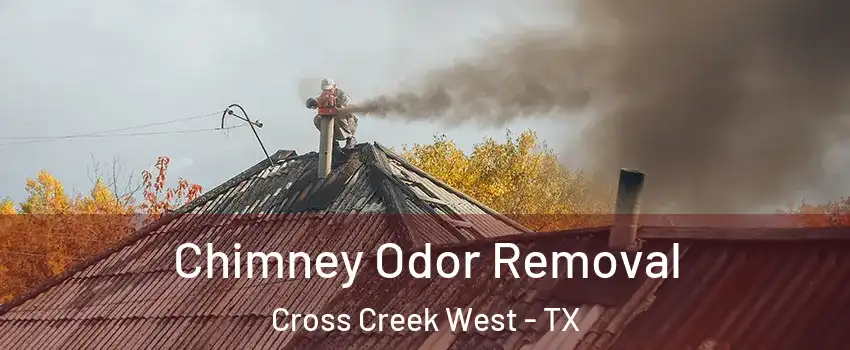 Chimney Odor Removal Cross Creek West - TX