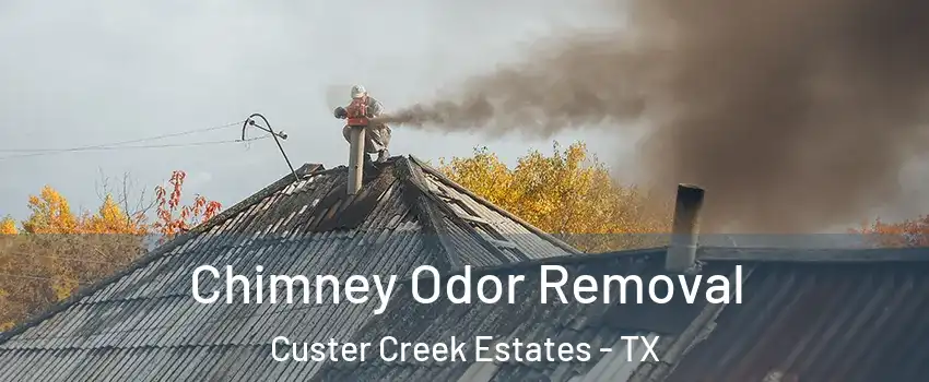 Chimney Odor Removal Custer Creek Estates - TX