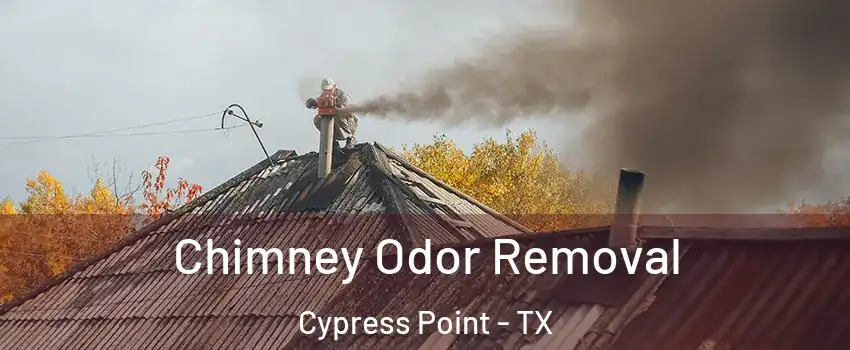 Chimney Odor Removal Cypress Point - TX