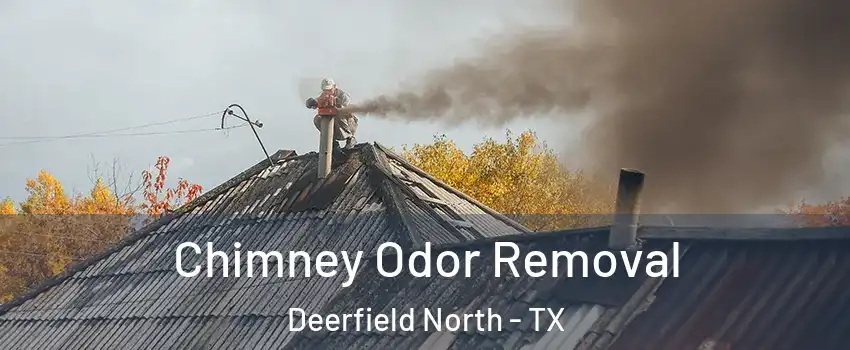 Chimney Odor Removal Deerfield North - TX