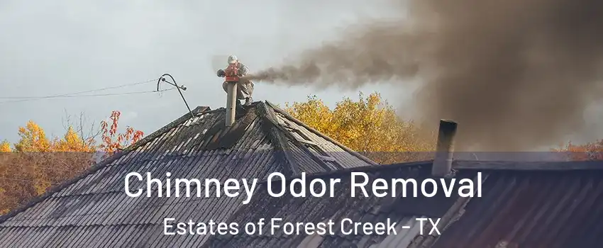 Chimney Odor Removal Estates of Forest Creek - TX