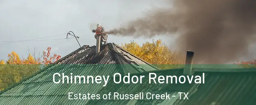 Chimney Odor Removal Estates of Russell Creek - TX