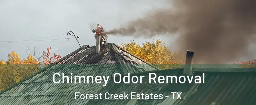 Chimney Odor Removal Forest Creek Estates - TX