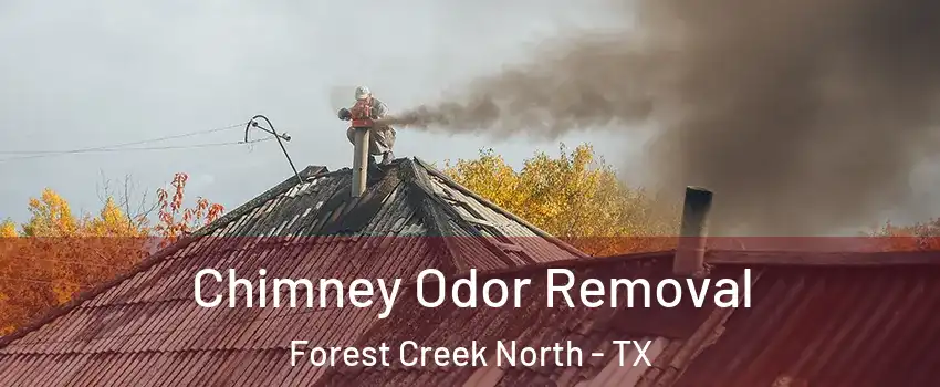 Chimney Odor Removal Forest Creek North - TX