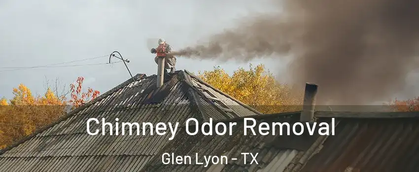 Chimney Odor Removal Glen Lyon - TX