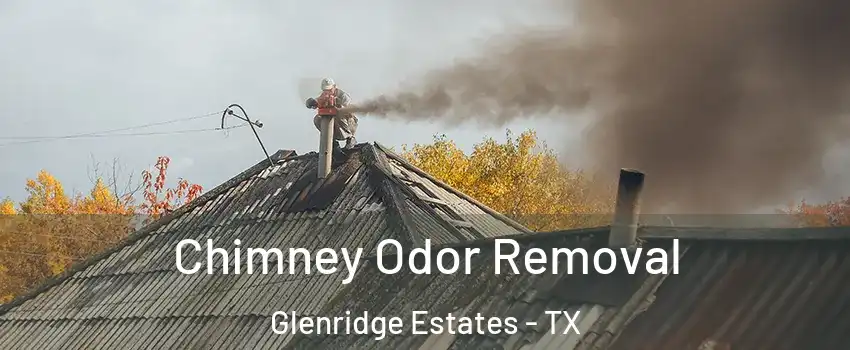 Chimney Odor Removal Glenridge Estates - TX