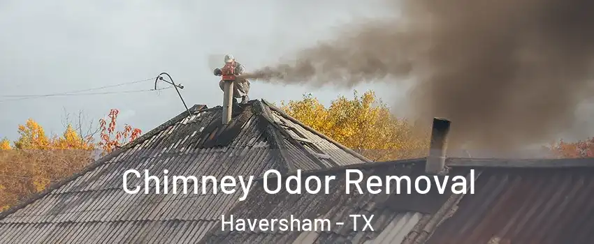 Chimney Odor Removal Haversham - TX