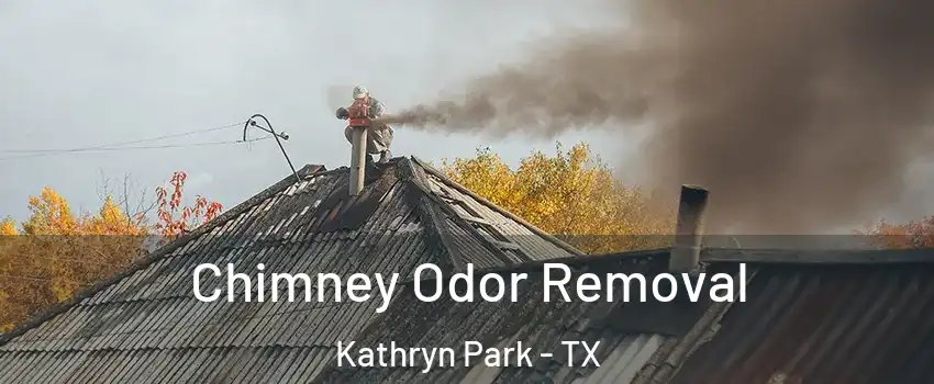 Chimney Odor Removal Kathryn Park - TX