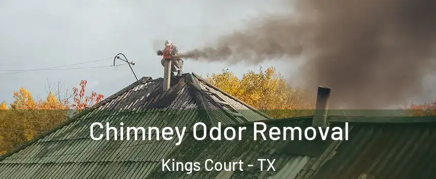 Chimney Odor Removal Kings Court - TX