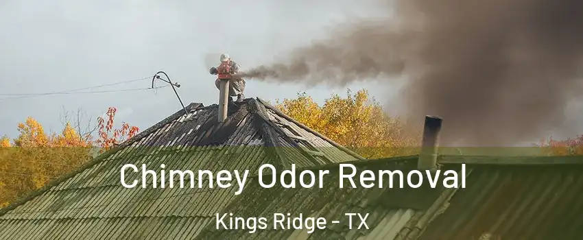 Chimney Odor Removal Kings Ridge - TX