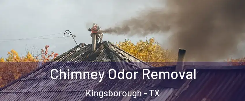 Chimney Odor Removal Kingsborough - TX