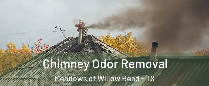 Chimney Odor Removal Meadows of Willow Bend - TX