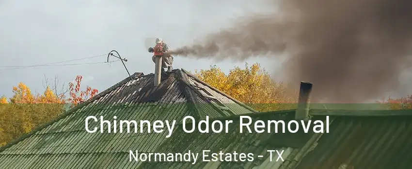 Chimney Odor Removal Normandy Estates - TX