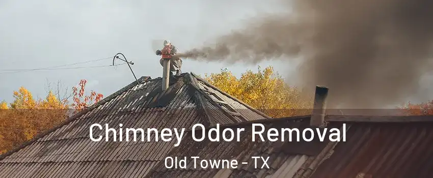 Chimney Odor Removal Old Towne - TX