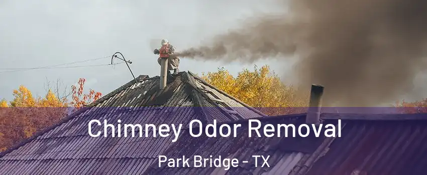 Chimney Odor Removal Park Bridge - TX