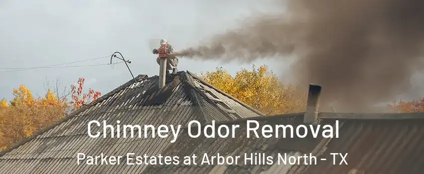 Chimney Odor Removal Parker Estates at Arbor Hills North - TX