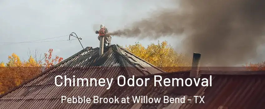 Chimney Odor Removal Pebble Brook at Willow Bend - TX