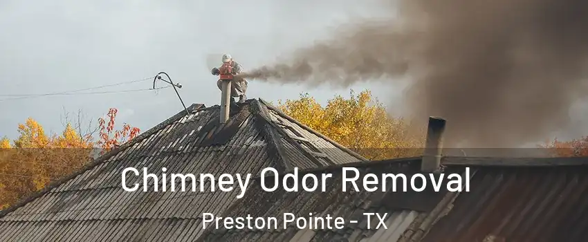 Chimney Odor Removal Preston Pointe - TX