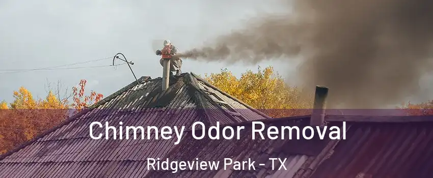 Chimney Odor Removal Ridgeview Park - TX