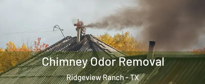 Chimney Odor Removal Ridgeview Ranch - TX