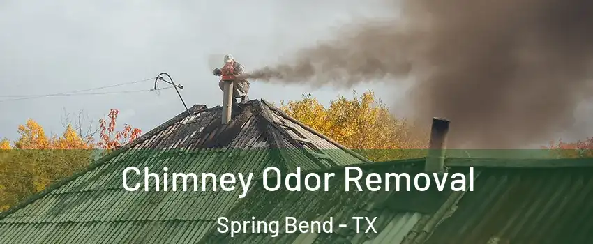 Chimney Odor Removal Spring Bend - TX