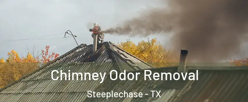 Chimney Odor Removal Steeplechase - TX