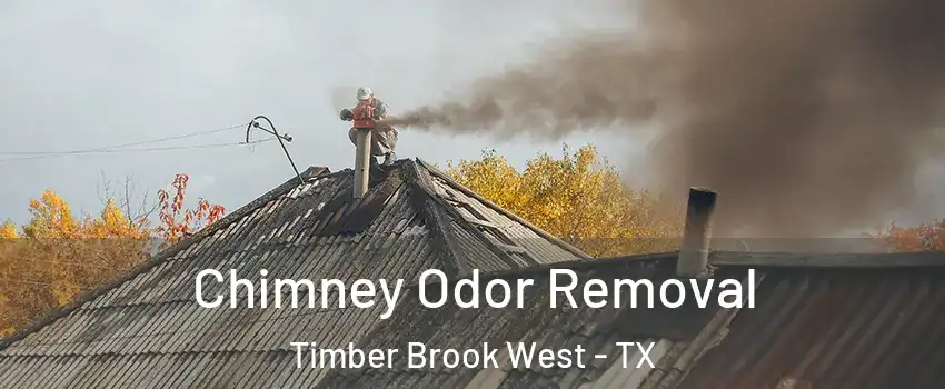 Chimney Odor Removal Timber Brook West - TX