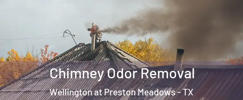 Chimney Odor Removal Wellington at Preston Meadows - TX