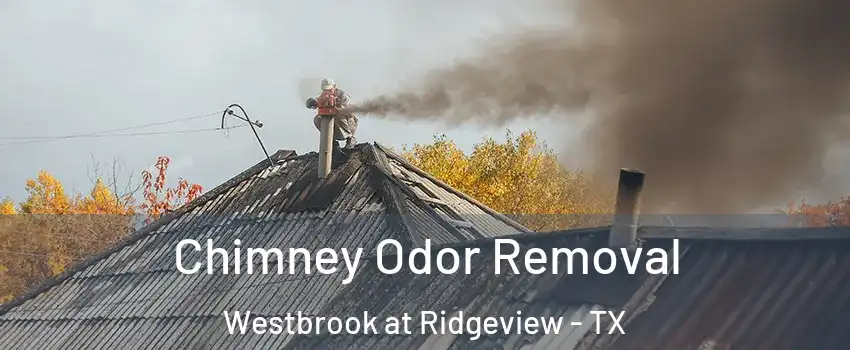 Chimney Odor Removal Westbrook at Ridgeview - TX