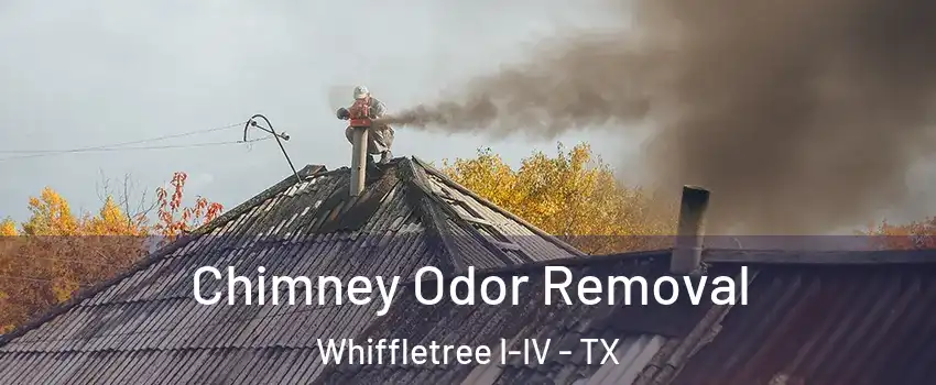 Chimney Odor Removal Whiffletree I-IV - TX