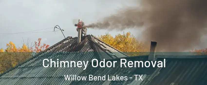 Chimney Odor Removal Willow Bend Lakes - TX