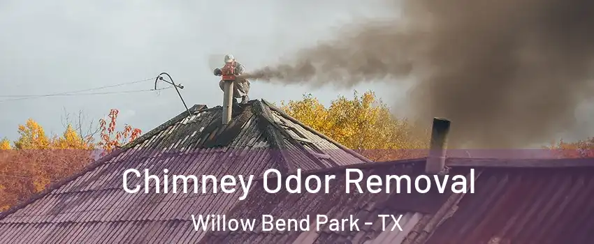 Chimney Odor Removal Willow Bend Park - TX