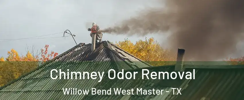 Chimney Odor Removal Willow Bend West Master - TX