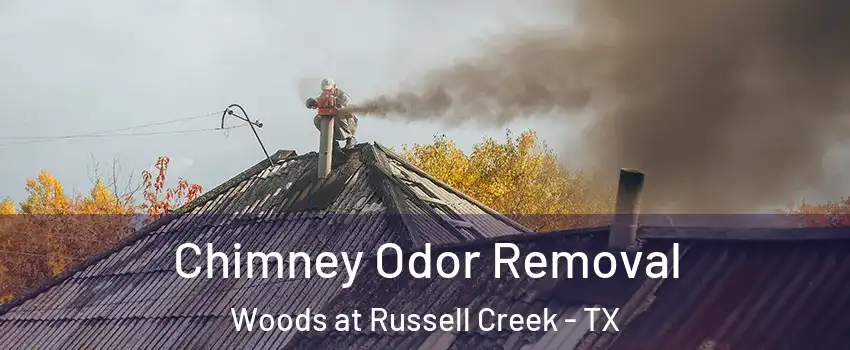 Chimney Odor Removal Woods at Russell Creek - TX