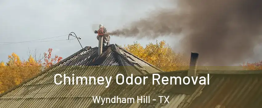 Chimney Odor Removal Wyndham Hill - TX