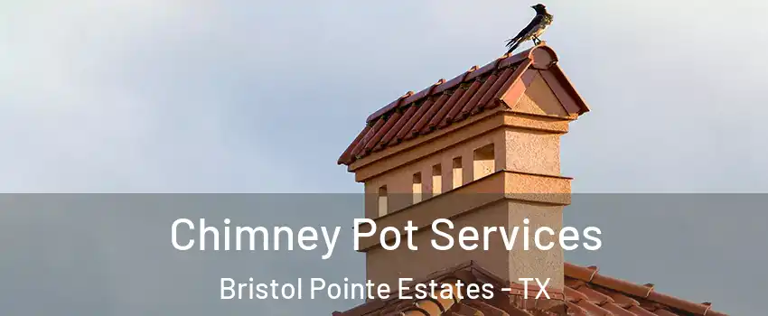 Chimney Pot Services Bristol Pointe Estates - TX