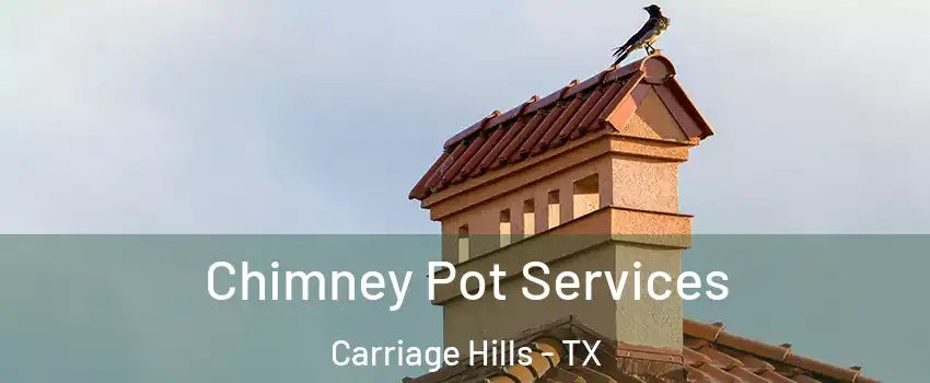 Chimney Pot Services Carriage Hills - TX