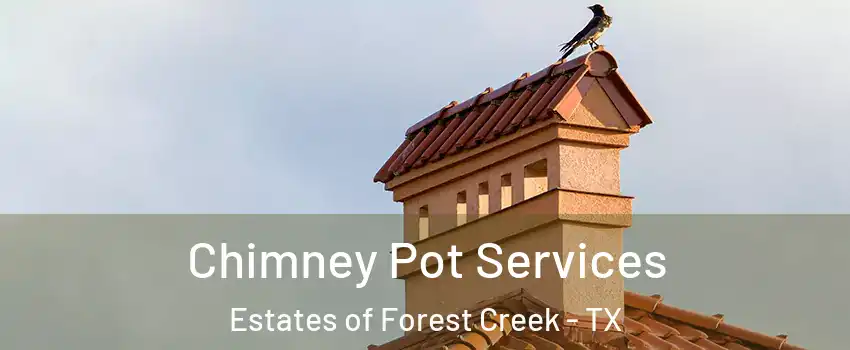 Chimney Pot Services Estates of Forest Creek - TX