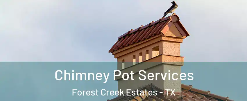 Chimney Pot Services Forest Creek Estates - TX