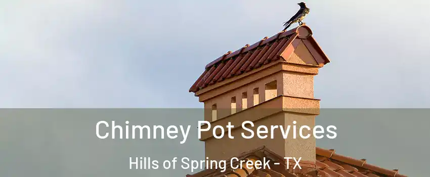 Chimney Pot Services Hills of Spring Creek - TX