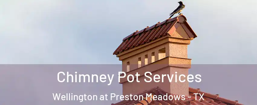 Chimney Pot Services Wellington at Preston Meadows - TX